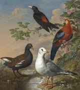 Philip Reinagle A Moorhen, A Gull, A Scarlet Macaw and Red-Rumped A Cacique By a Stream in a Landscape Spain oil painting artist